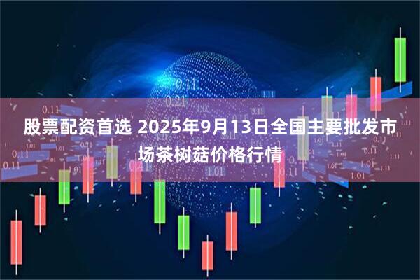 股票配资首选 2025年9月13日全国主要批发市场茶树菇价格行情