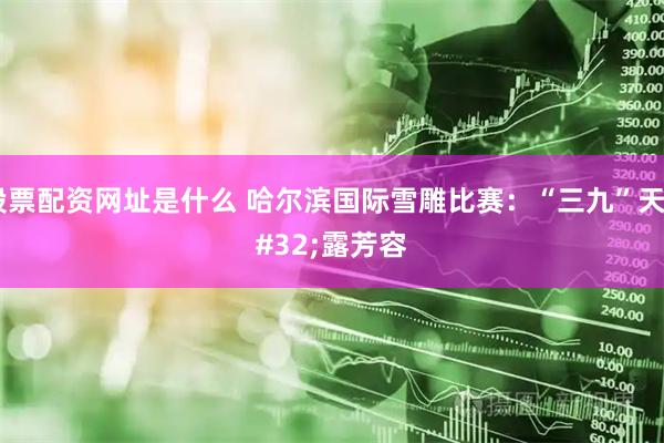 股票配资网址是什么 哈尔滨国际雪雕比赛：“三九”天 露芳容