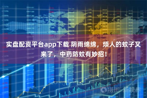 实盘配资平台app下载 阴雨绵绵，烦人的蚊子又来了，中药防蚊有妙招！
